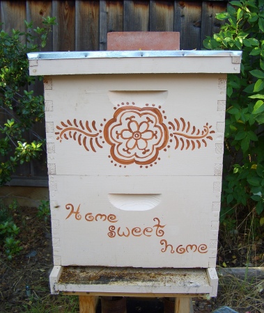 Our First Hive
