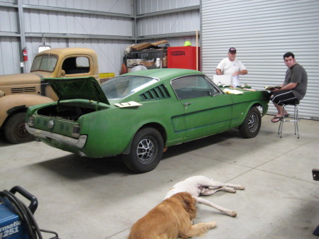 My Mustang- the work begins