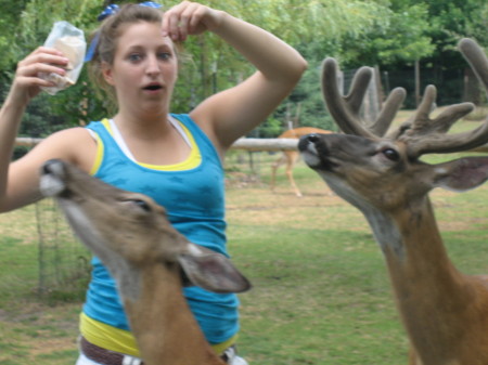 Deer Farm Wisconsin Dells 7-2007