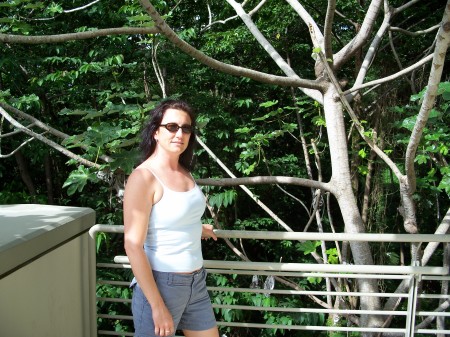 Vacation in Puerto Rico, 2007