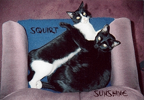 Squirt and Sunshine