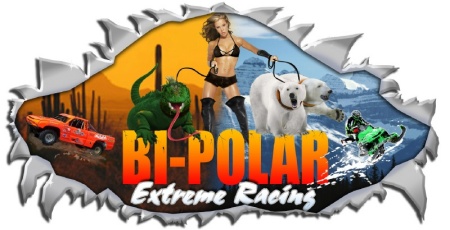 Bi-Polar Racing Logo