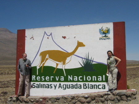 llama park Peru