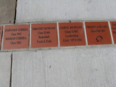 Correa, Morgan and Bryant Tiles