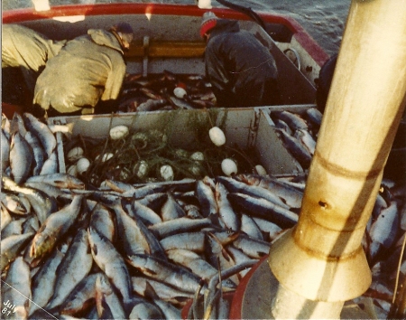 Pay day in Bristol Bay on the F/V Fantasea II