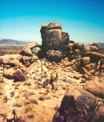 Joshua Tree