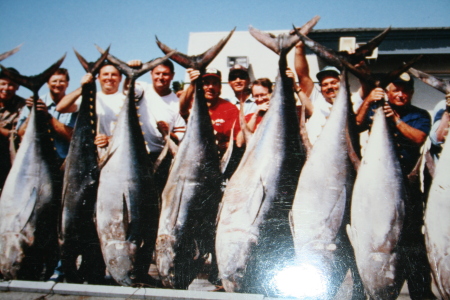 300 lb Yellowfin Tuna