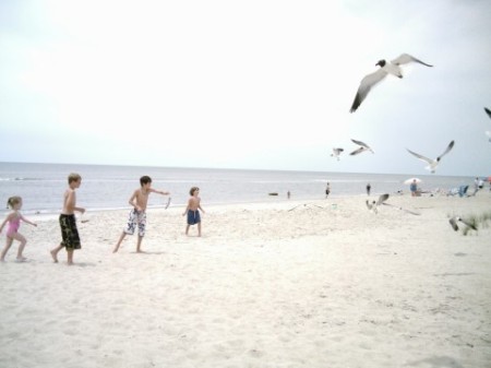 Kids on Oak Island - feeding seagulls