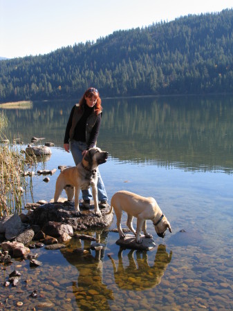 Sue and dogs