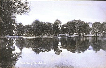 Westbury Pond