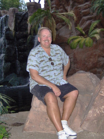 Flamingo Habitat In Vegas 2008