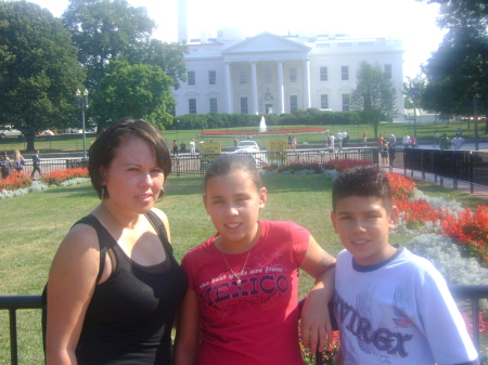 The White House 2008