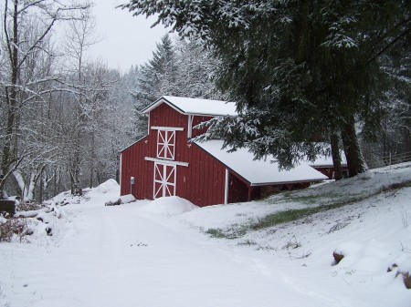 Trillium Valley Farm,  in the snow