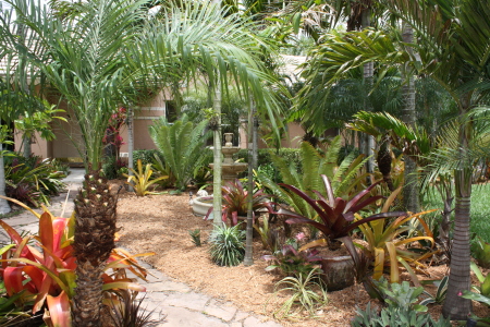 Our front yard garden