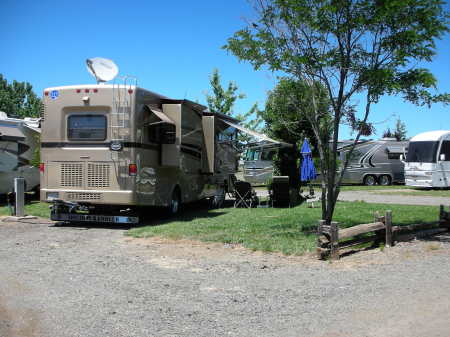 Our Campsite June 2009 - McArthur, CA