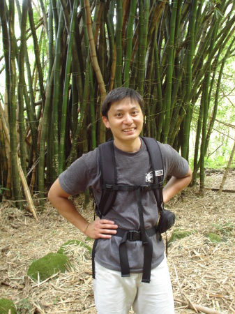 Mark in a forest of Bamboo