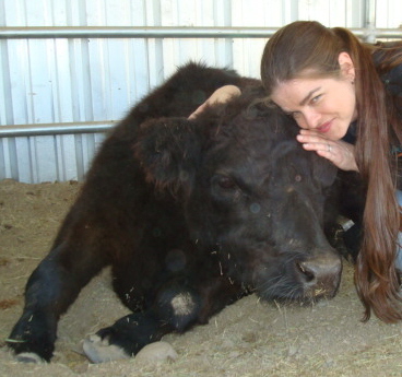 Me & a sweet dwarf cow