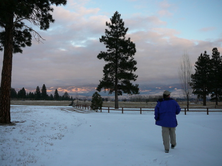 front yard in winter- Big Change from Rialto