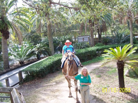 Riding a Camel