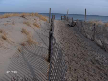 cape cod 2007 new year 316