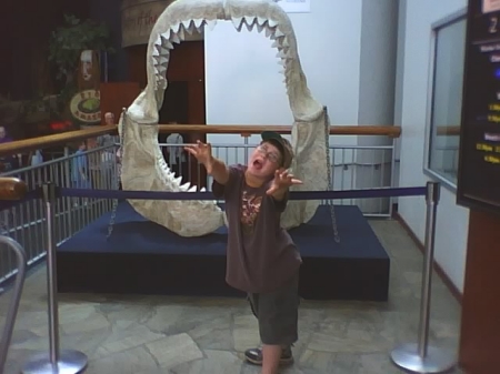 Levi - Shark Jaws
