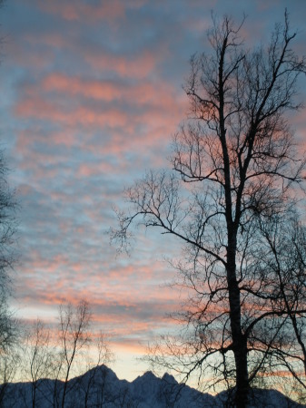 February afternoon