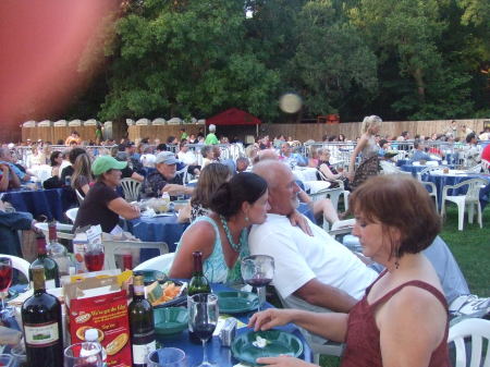 Concerts in the Park