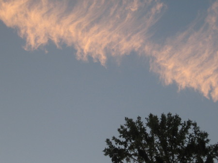Herringbone cloud, Kent Heights, 2007