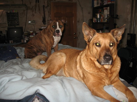 My dogs Liz and Keka