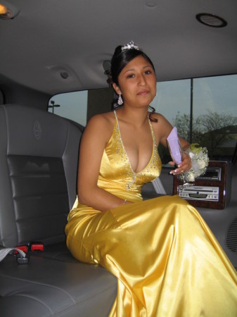 My daughter at prom  2 years ago in Chicago.