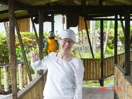 My friend the Macaw in Ahuano, Ecuador; summer 2007
