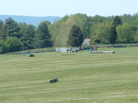 Point to Point Races