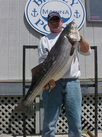 Biggest Rock Fish