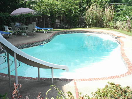 Swimming pool in the yard