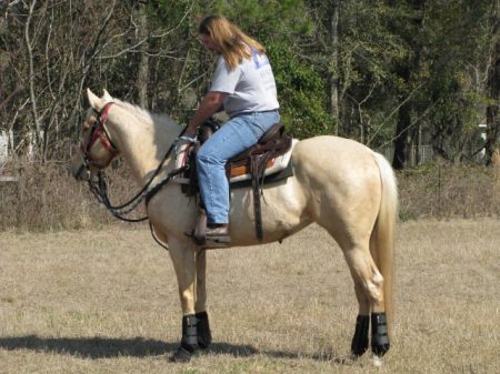 Wakulla County Horsemans Association
