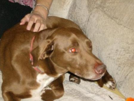 SADIE ON NANAS COUCH