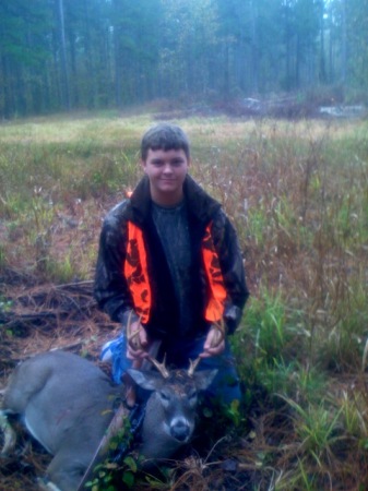 Chase's deer