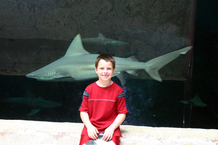 Dillon (age 6) at the Dallas Aquarium (June)