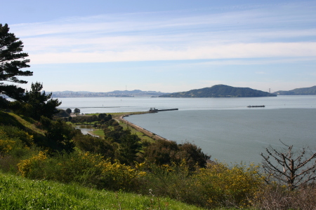 Bay View from Nicholl Knob