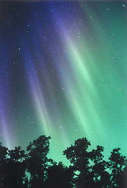 Alaska's northern lights- amazing