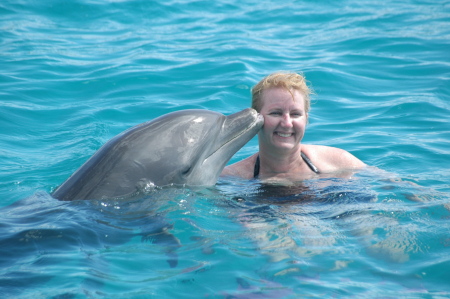 Swimming with dolphins