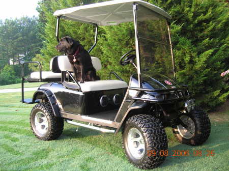 My Dog and Golf Cart