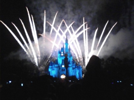 wishes at the magic kingdom