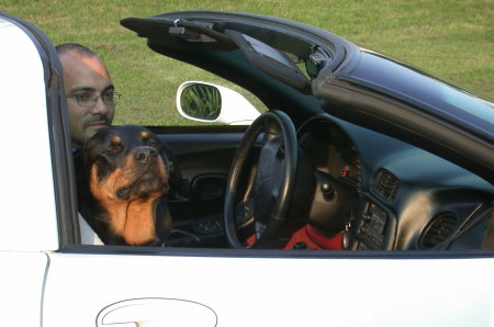 My rottie, Missy and me in my Vette