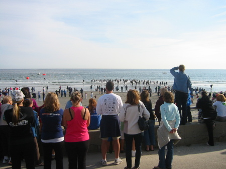 Swimming Contest