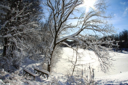 blizzard of 2010 #2