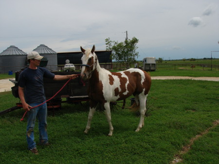 MY CUTTING HORSE