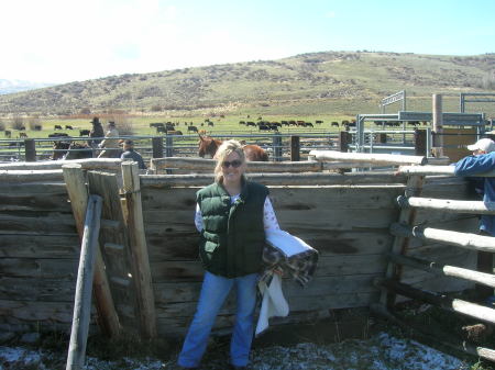 Branding at the Neighbors' Ranch, Mountain City 2007
