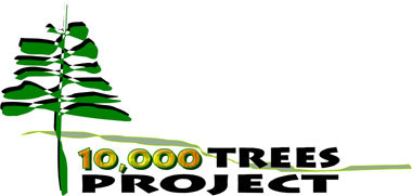 10,000 Trees Logo