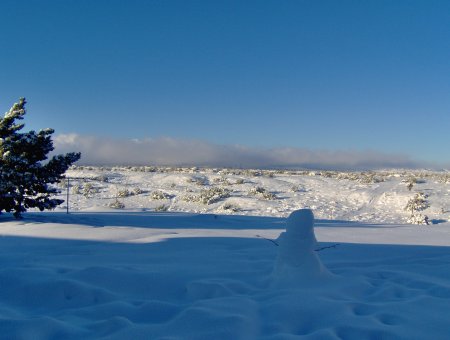 View from the Backyard After a Snow